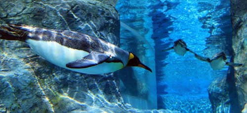 不正コピー防止機能搭載USBキー 認証システム-建設ソフトでも導入